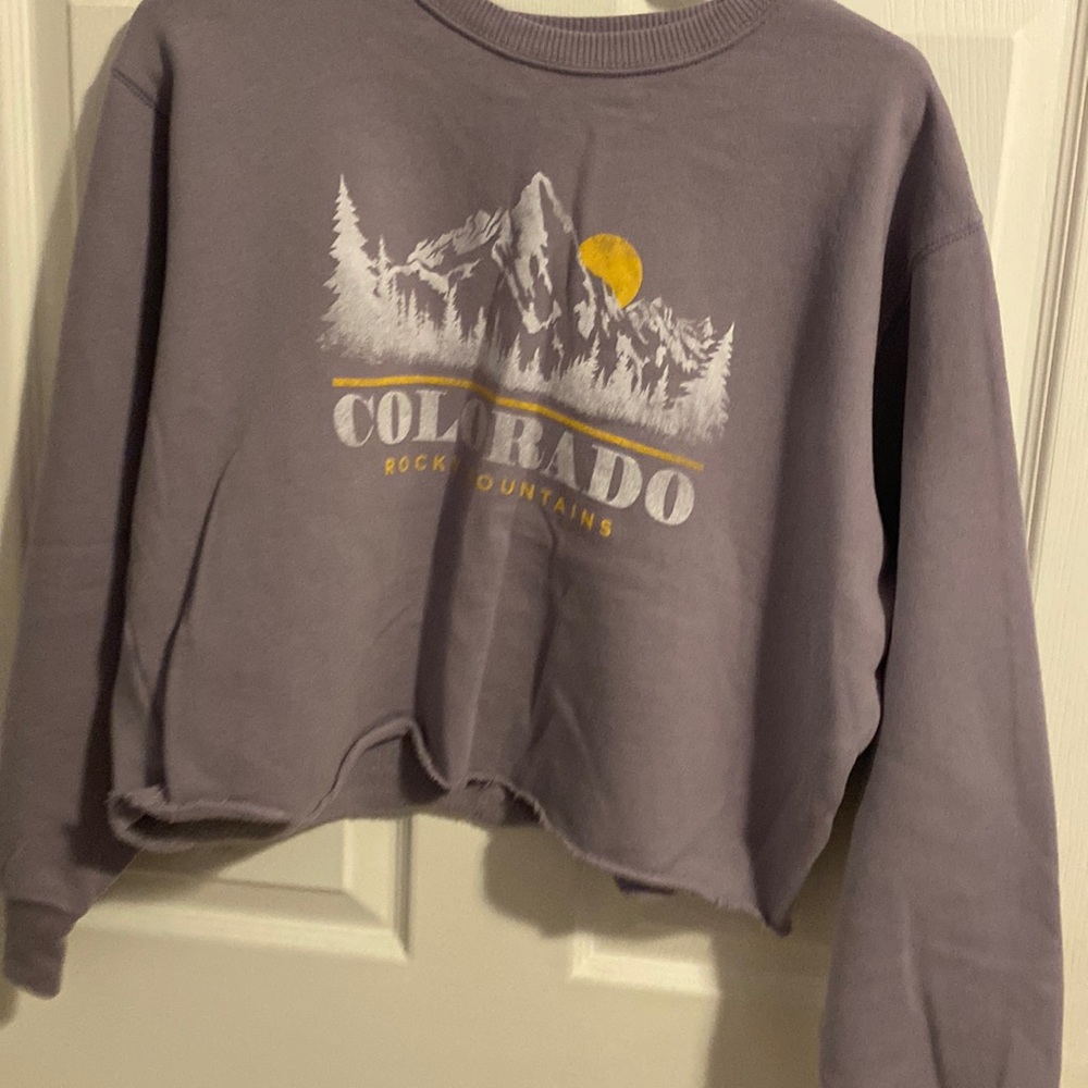 Purple Hollister crewneck